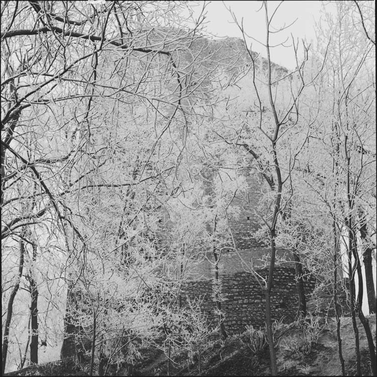 Tour et arbres couverts de givre