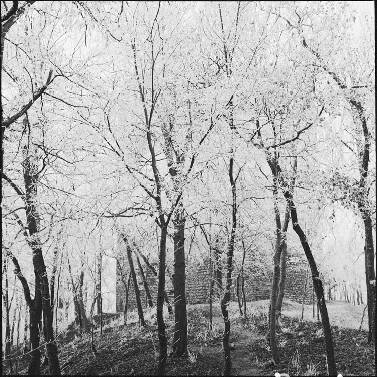 Tour et arbres couverts de givre