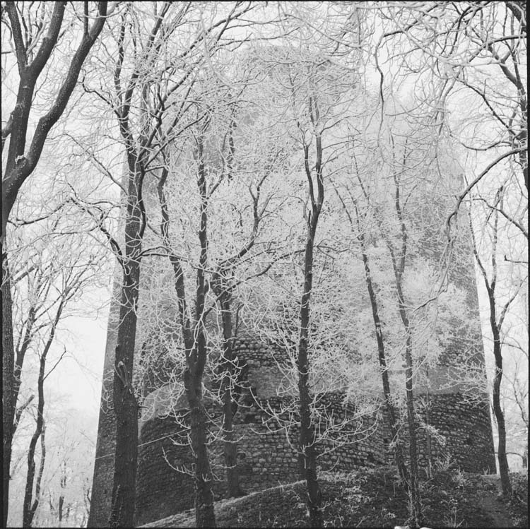 Tour et arbres couverts de givre