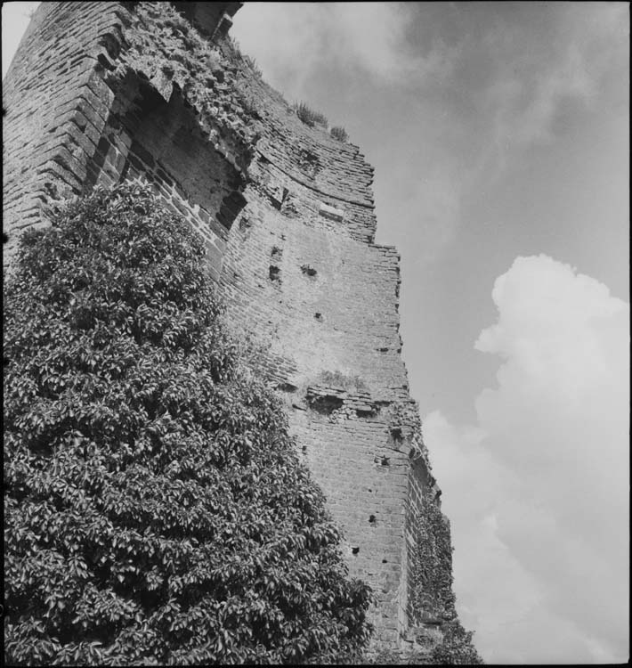 Restes du donjon, vue intérieure