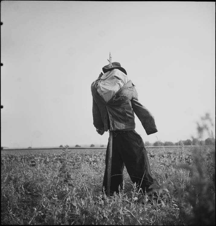 Épouvantail en haillons