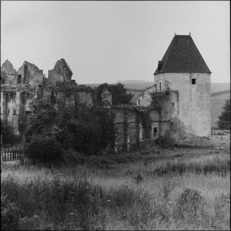 Ruines du corps de logis et tour