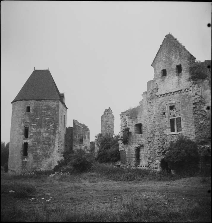 Ruines du corps de logis et tour