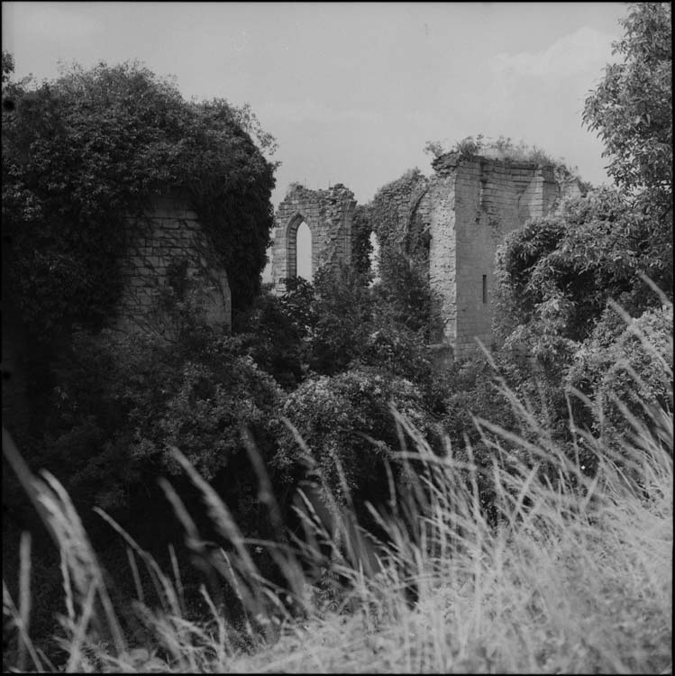 Ruines de l’enceinte