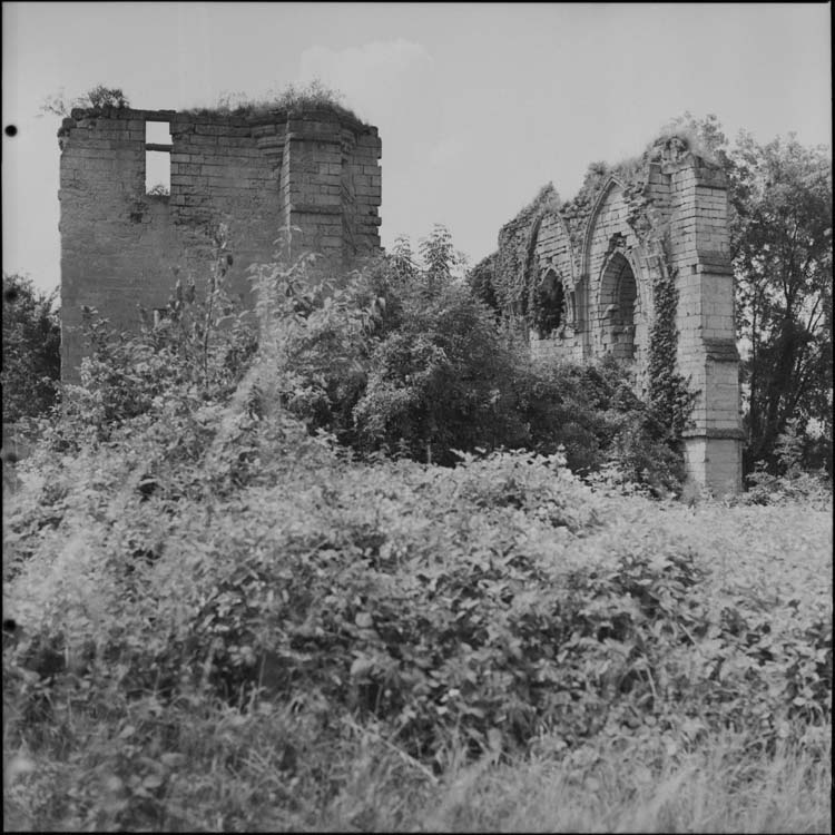 Ruines de l’enceinte