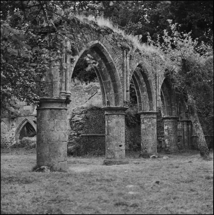 Ruines de l’église : arcades de la nef