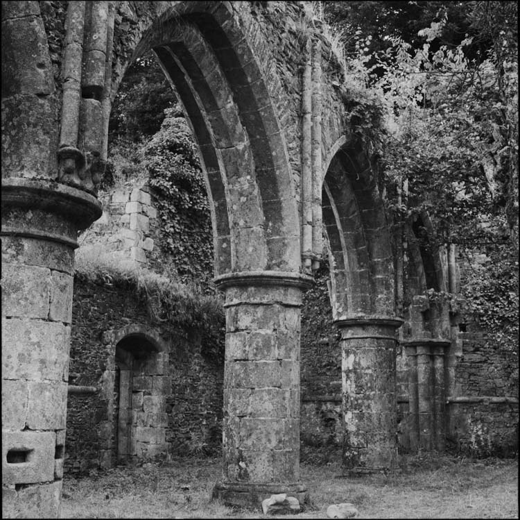 Ruines de l’église : arcades de la nef