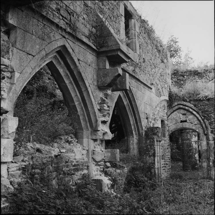 Abbaye : restes des colonnades