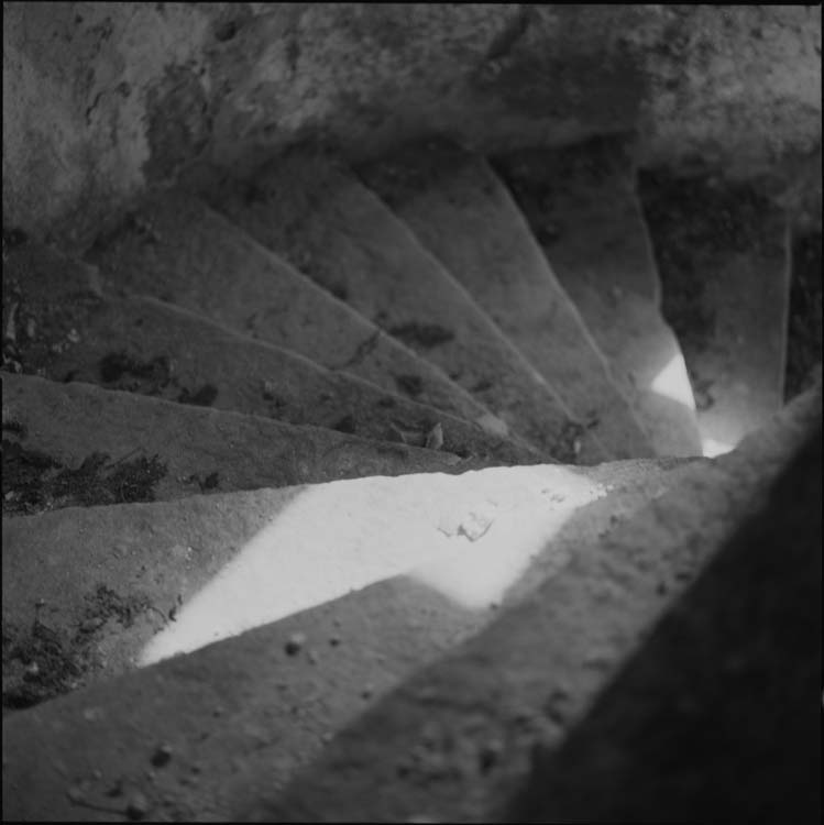 Escalier à vis d’une tour