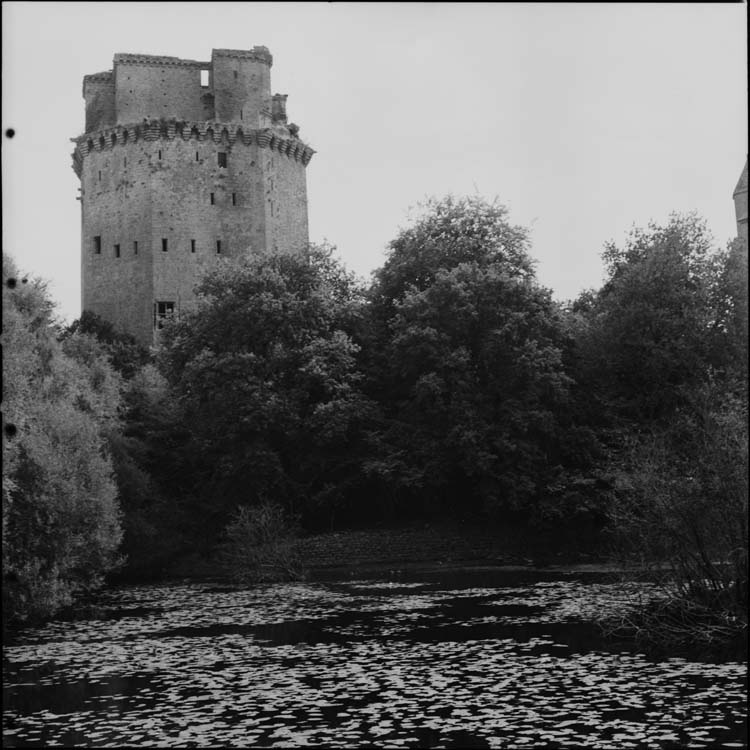 Donjon vu des rives de l’étang