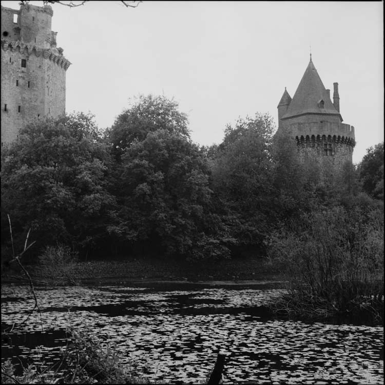 Donjon et tour ronde vus des rives de l’étang