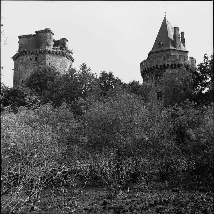 Donjon et tour ronde vus des rives de l’étang