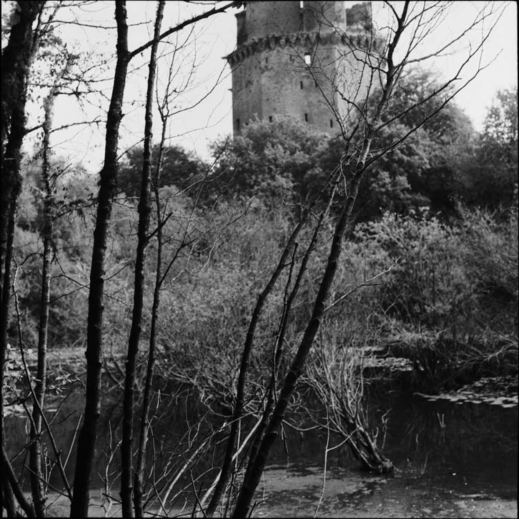 Donjon vu des rives de l’étang