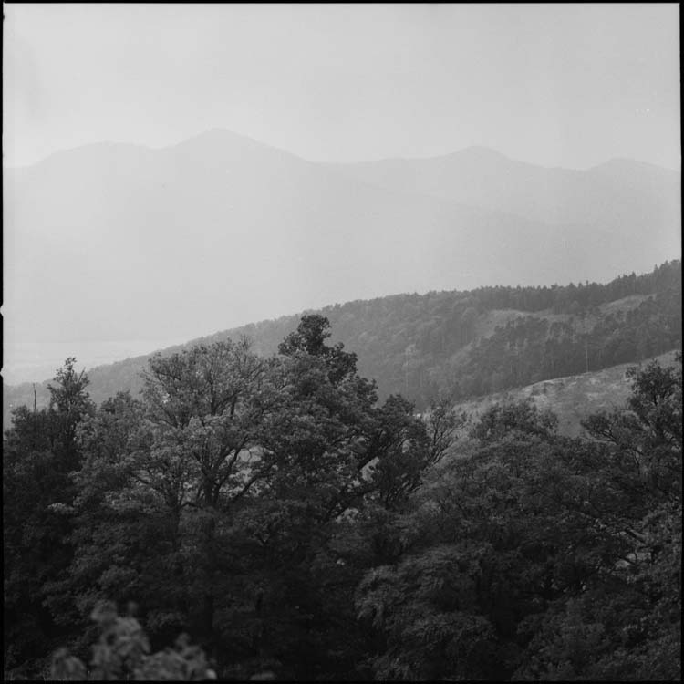 Massif du Haut-Koenigsbourg