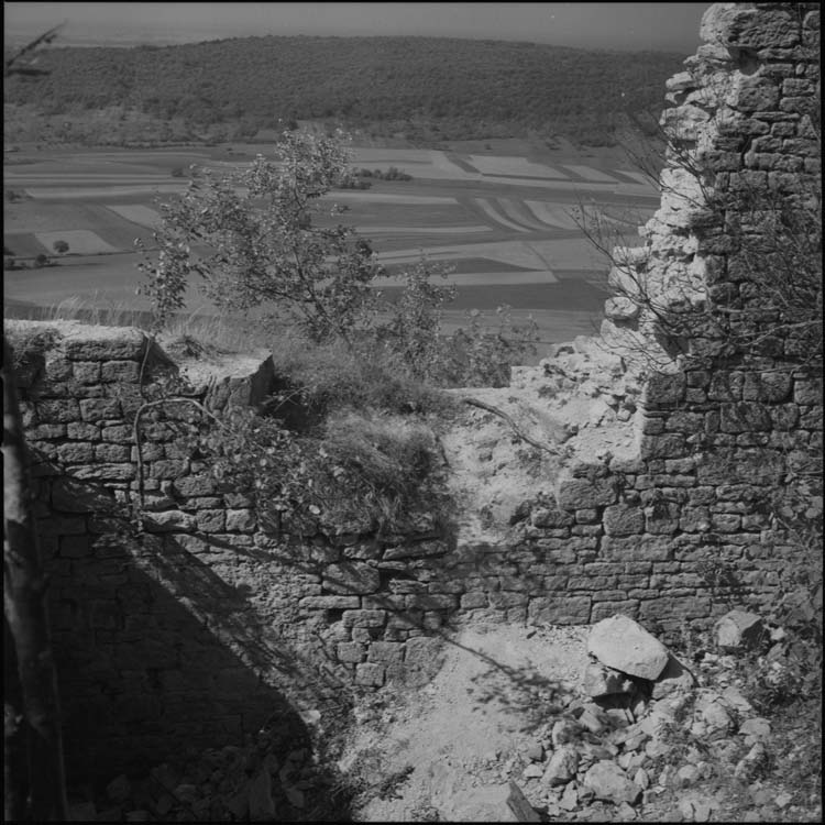 Vallée vue des ruines du château
