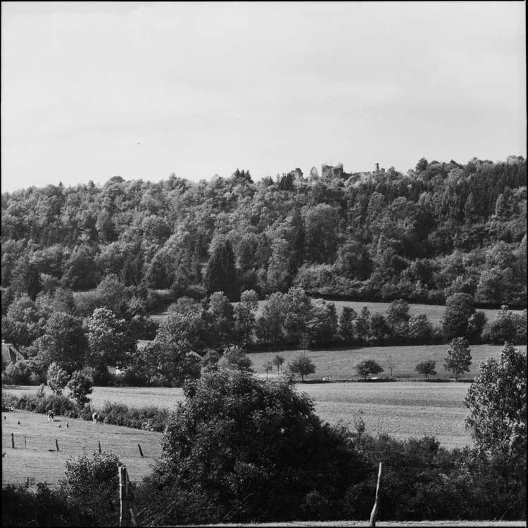 Ruines en leur site