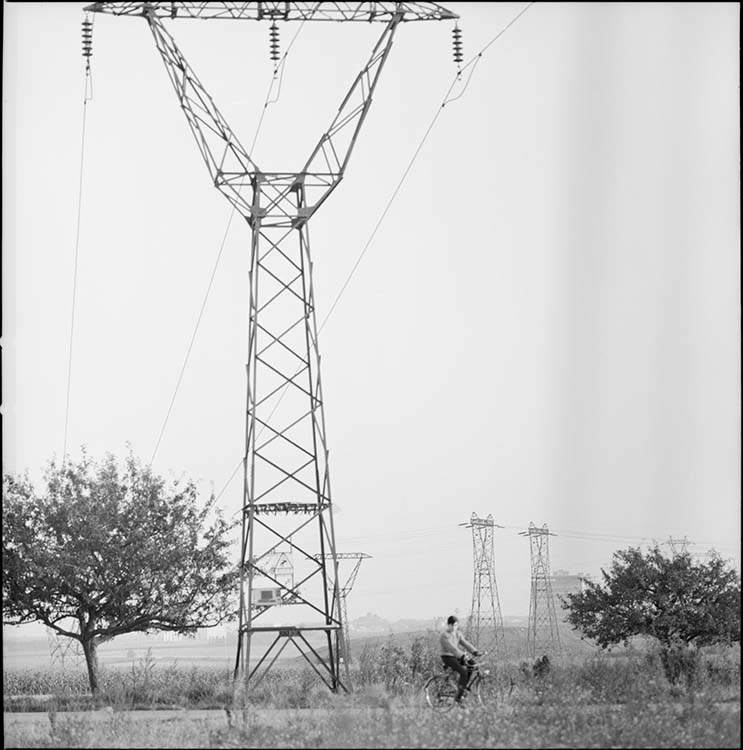 Pylône électrique de type chat