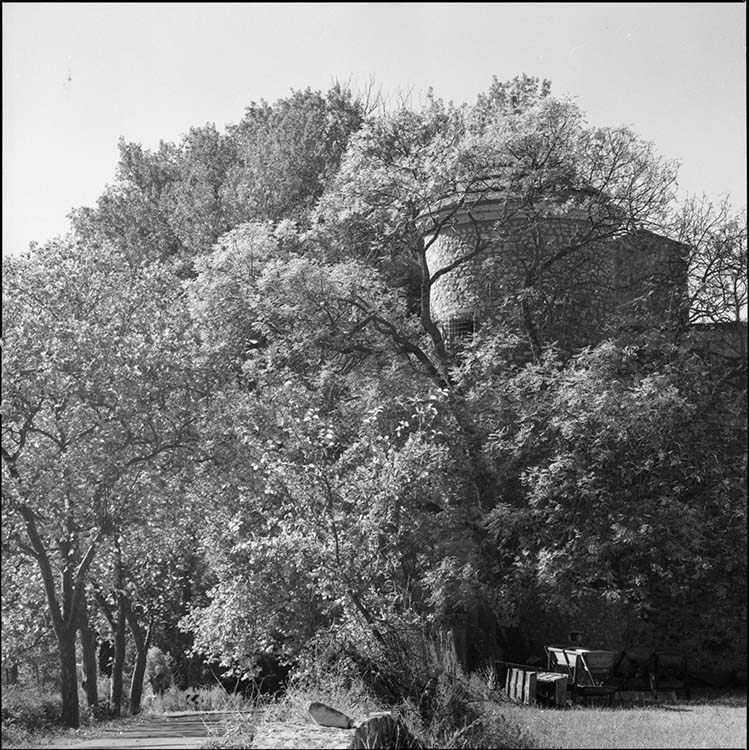 Tour d’angle cernée par les arbres