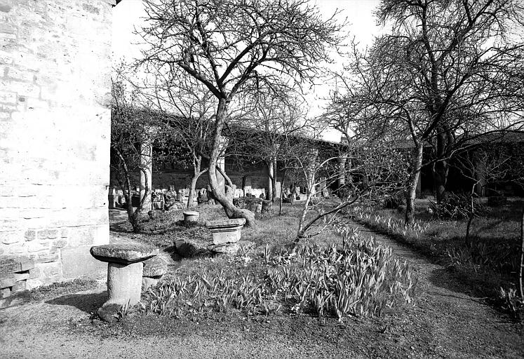 Cloître : Restes de colonnes