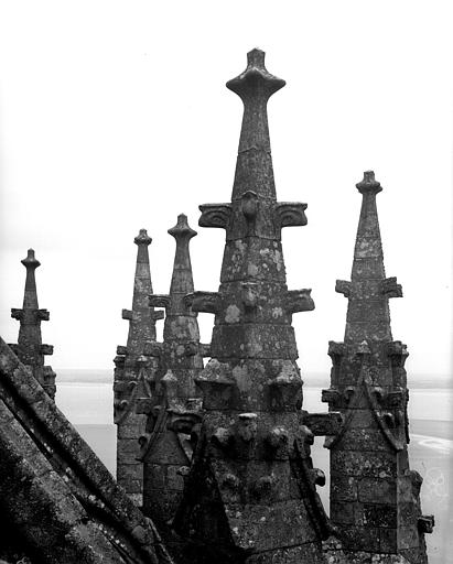 Pinacles de contreforts, vus de l'escalier de Dentelle