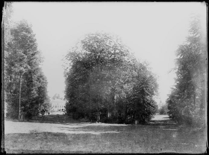 Parc : arbres et château au loin