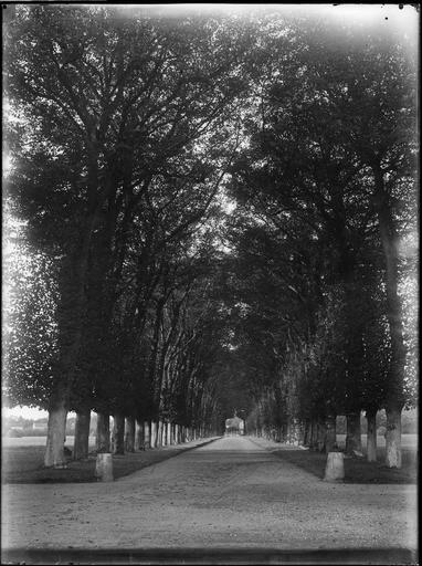 Allée d'honneur bordée d'arbres