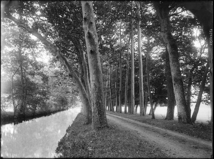 Parc : allée forestière et un canal