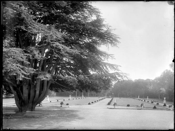 Parc : cèdre et parterres