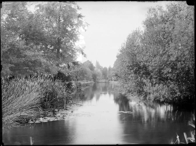 Rivière dans le parc