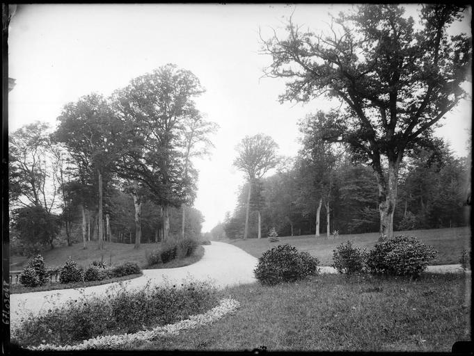 Parc : allées et arbres