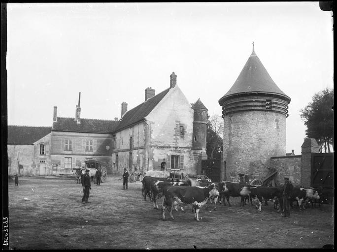 Cour : bâtiments et tour, troupeau de vaches, paysans