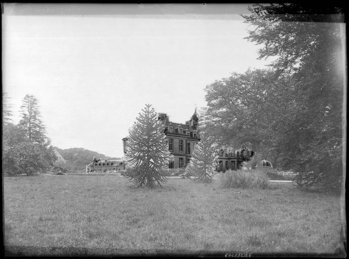 Vue éloignée, arbres au premier plan