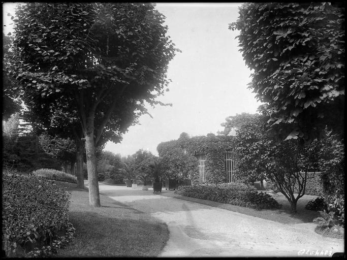 Parc : allée et serre cachée par la vigne