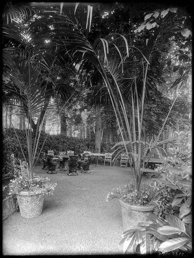 Salon de jardin et palmiers en pot