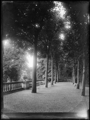 Parc : allée d'arbres et chaises de jardin