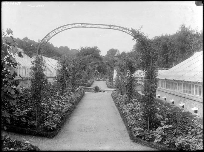 Parc : roseraie et serres, tunnel en fer forgé