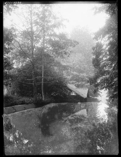 Parc : pont en bois