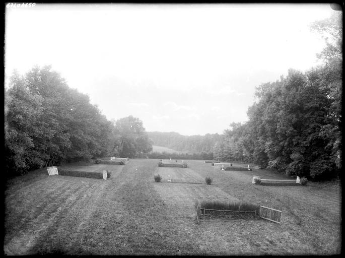 Parc, sauts de haies sur la pelouse