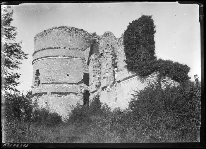 Vestiges : le donjon en ruine