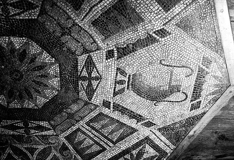 Mosaïque en marbre de couleurs d'époque gallo-romaine - © Ministère de la Culture (France), Médiathèque du patrimoine et de la photographie, diffusion RMN-GP