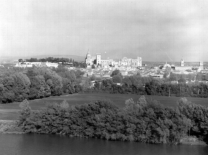 Vue panoramique de l'ouest, le Petit Palais, Notre-Dame-des-Dours, le Palais des Papes