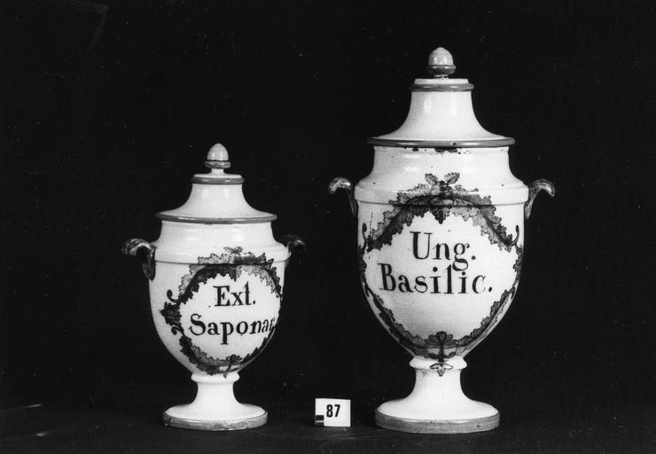 2 pots à pharmacie : vases d'officine au décor de branchages, faïence - © Ministère de la Culture (France), Médiathèque du patrimoine et de la photographie (objets mobiliers), tous droits réservés