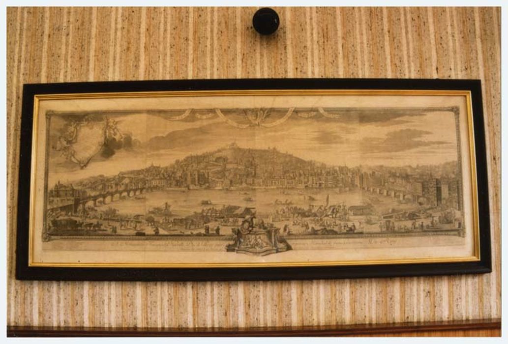 estampe : Vue d'une partie de Lyon