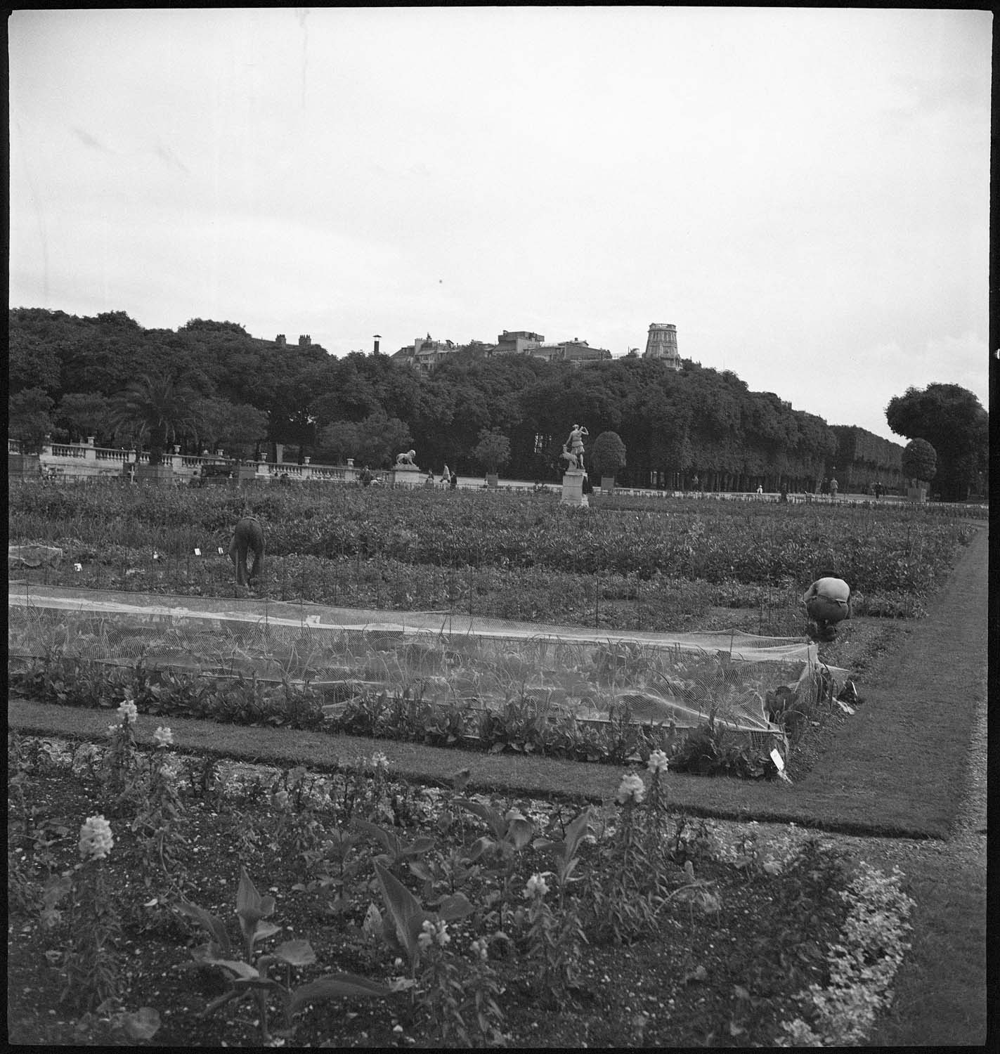 Jardiniers au travail