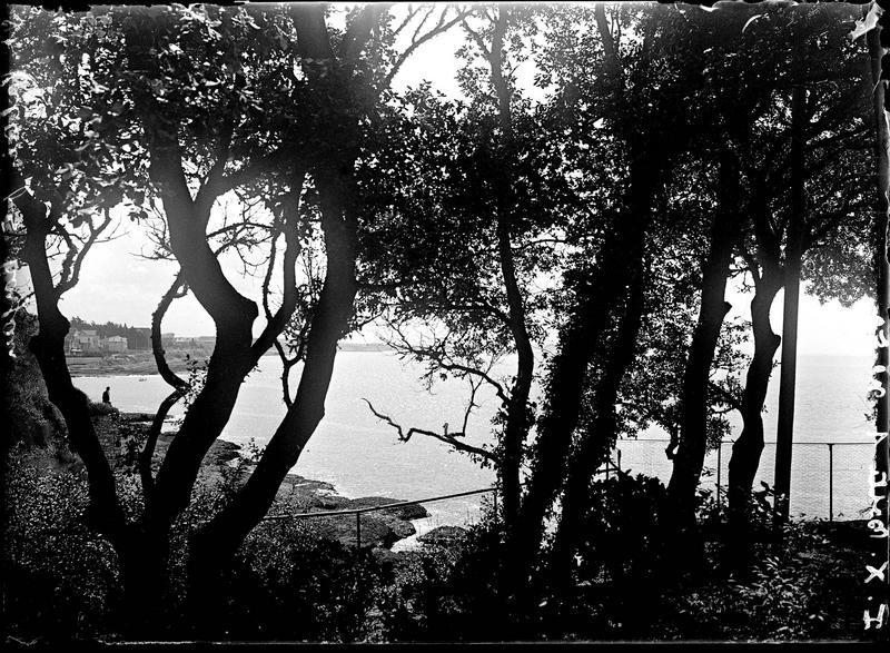 Paysage côtier
