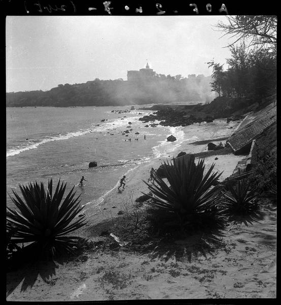 Paysage côtier