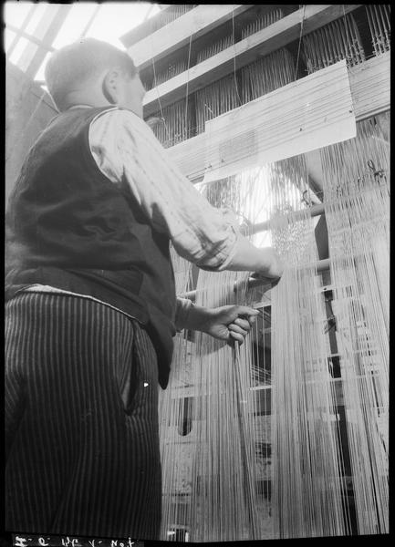 L'installation des fils de trame