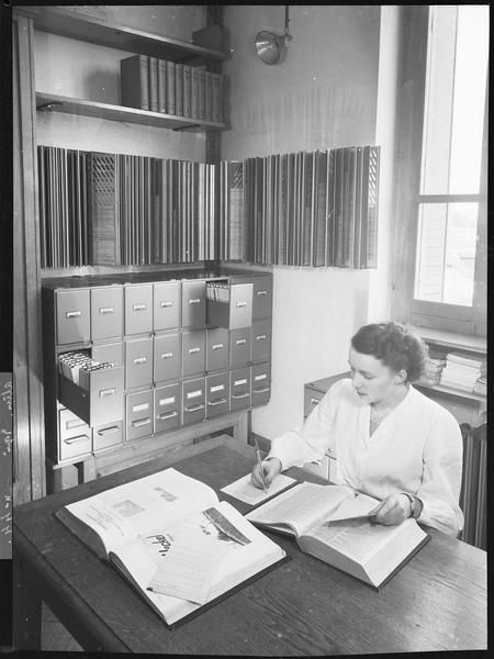 Bibliothèque de travail