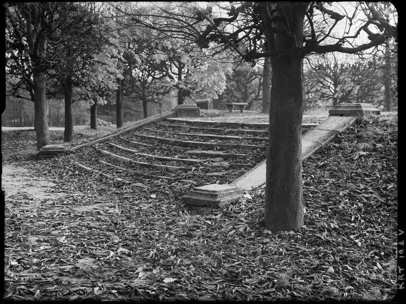 Le parc de Sceaux à l'automne ; [Escalier recouvert de feuilles mortes]