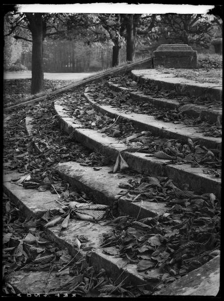 [Escalier recouvert de feuilles mortes dans le parc de Sceaux]